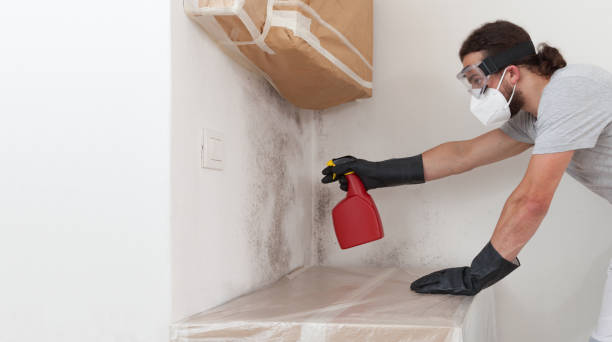 Professional Crawl Space Mold Removal technician working in Riverside, IL